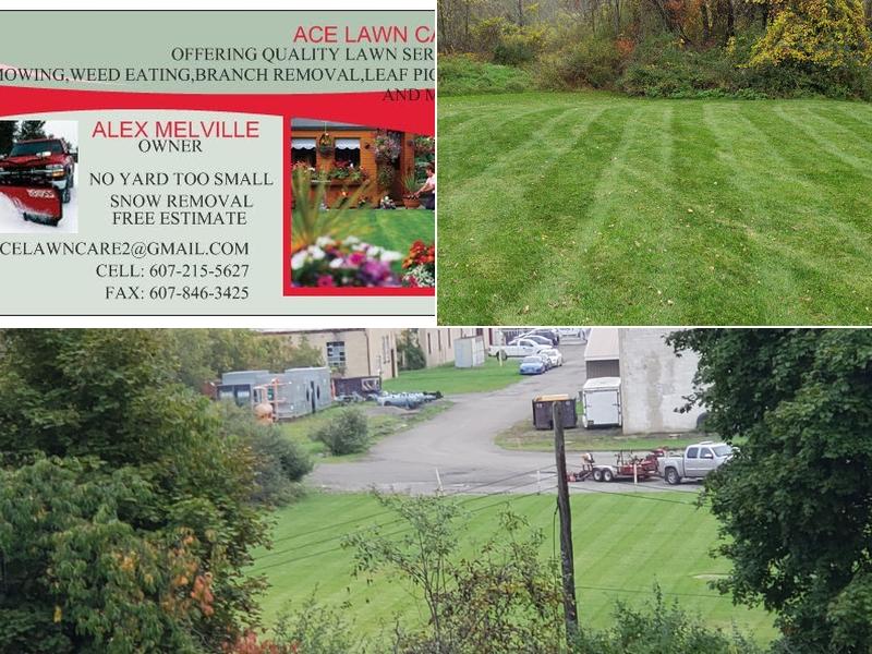 Ace Property Maintenance