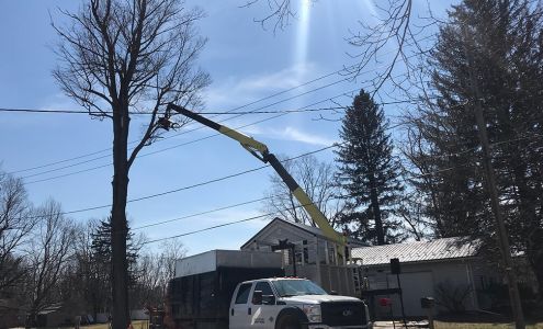 Select Logging & Tree Care 1296 Randolph Rd, Alfred Station New York 14803