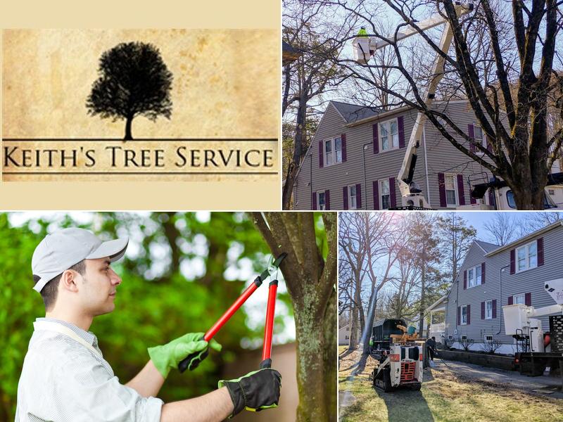 Keith's Tree Service