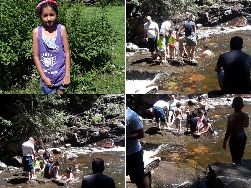 Adirondack Greenscapes