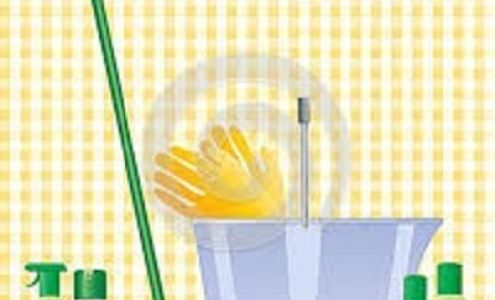 Chantelle's Green Cleaning Services