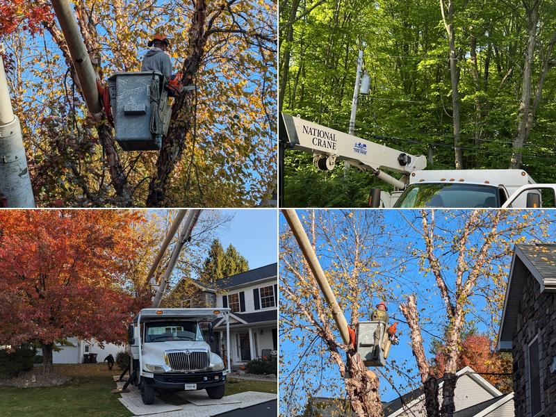 J - B Tree Specialist LLC