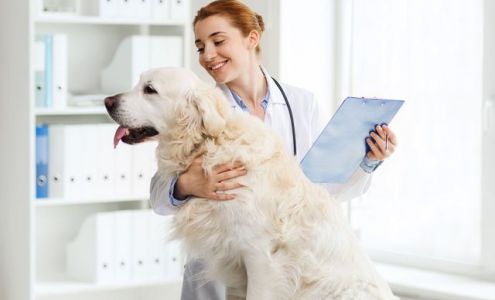 Compassion Pet Care 9830 AL-69, Northport Alabama 35473