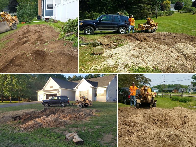Dewey Stump Grinding