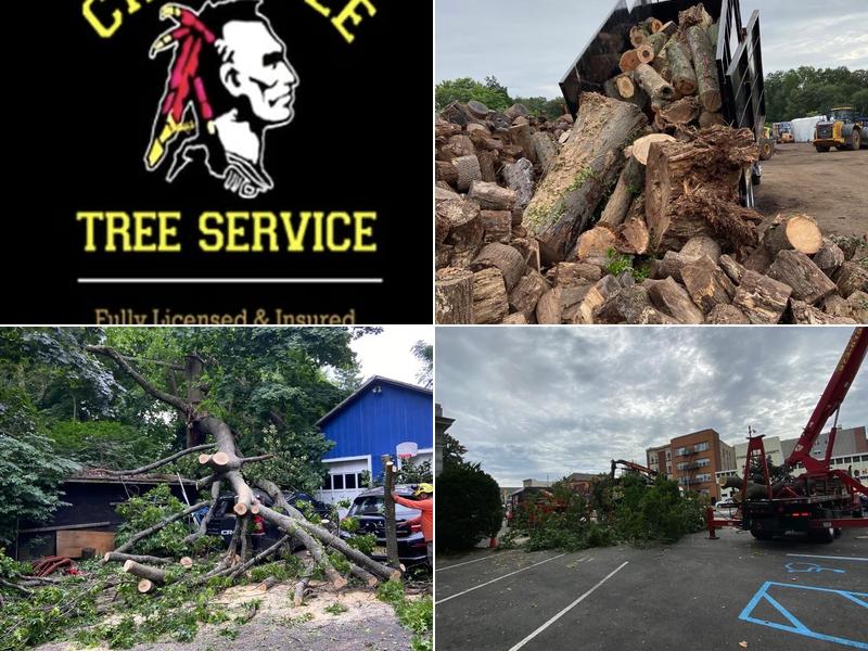 Cherokee Tree Service of New Jersey
