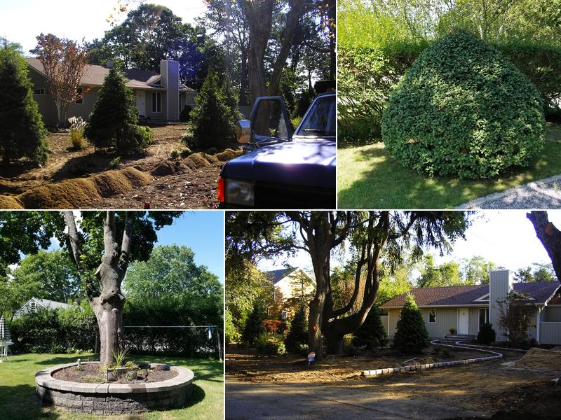 VLC Landscaping, Inc.