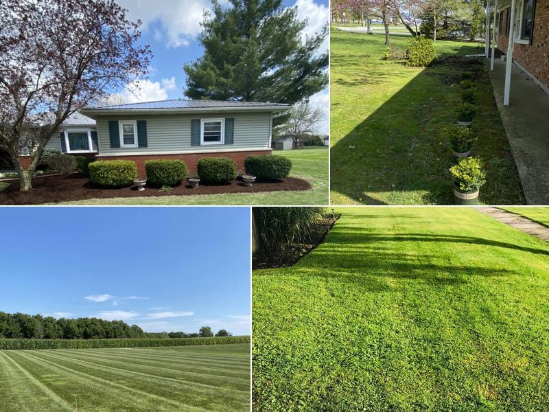 Premium Lawn And Landscaping