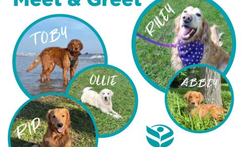 Cone Health Urgent Care at Elmsley Square