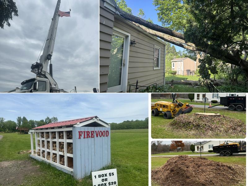 Helmer's Complete Tree and Landscape LLC