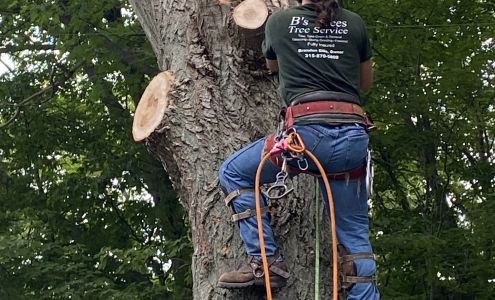 B'S TREE'S 200 Gillette Road, Mexico New York 13114