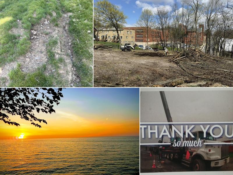 Bentley Tree Care, LLC