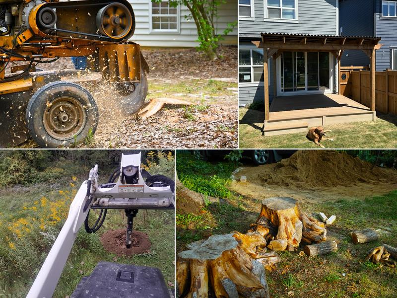 Busy Beaver Tree Services