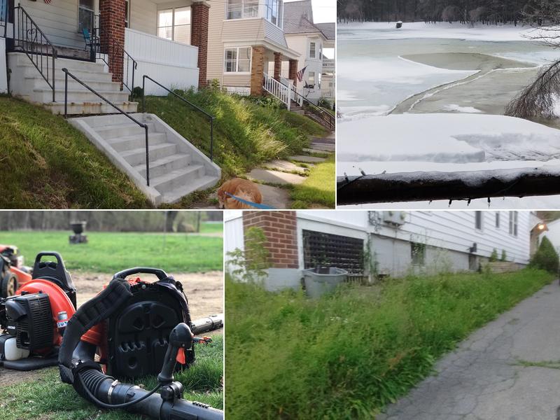 GrassRoots Lawn Specialists