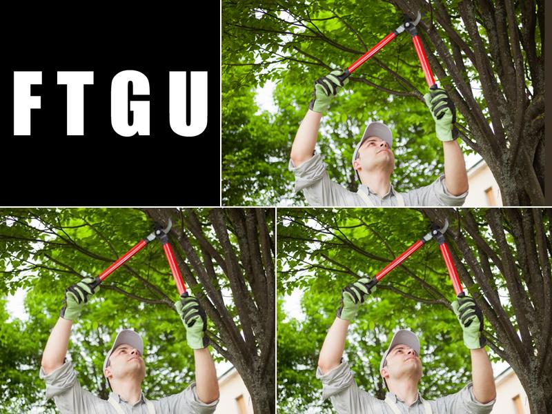 From The Ground Up Tree Service