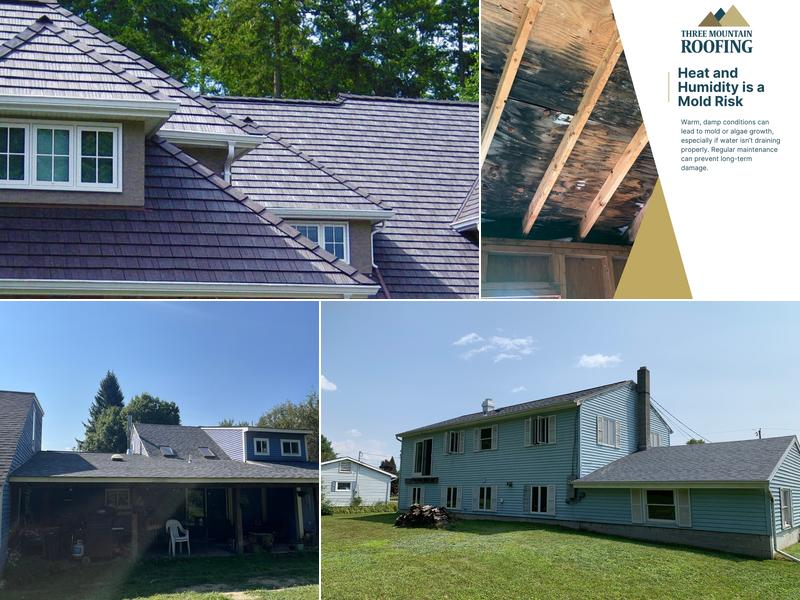 Three Mountain Roofing