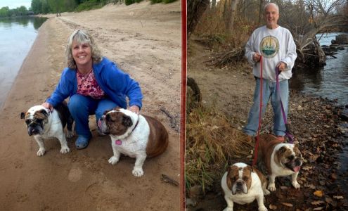 Pro Critter and House Sitters