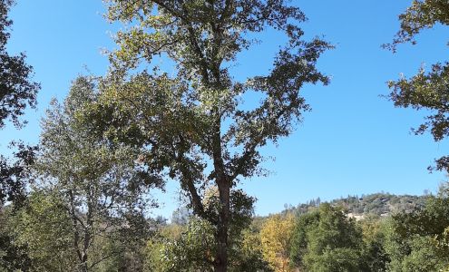 Specialty Oaks Inc Lower Lake