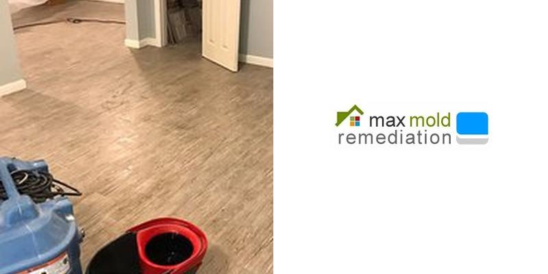 max mold removal