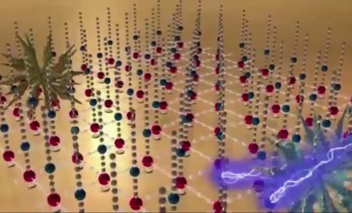 Bio Knight Technologies Corp