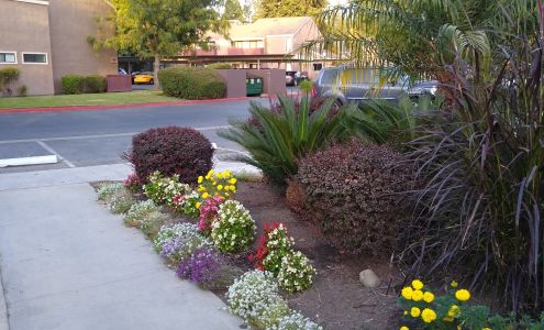 Shadowbrook Apartments/Angela’s apt 559