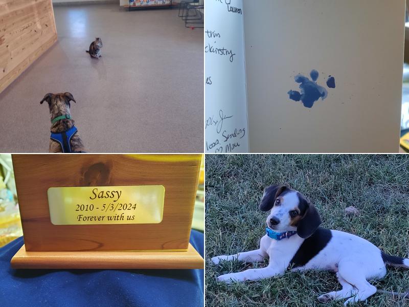 Cadron Creek Veterinary Clinic