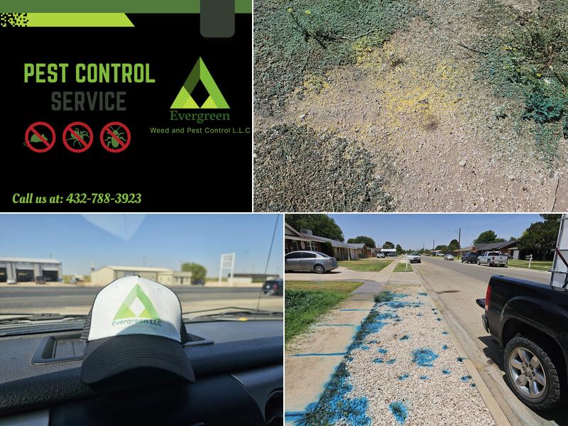 Evergreen Weed and Pest Control