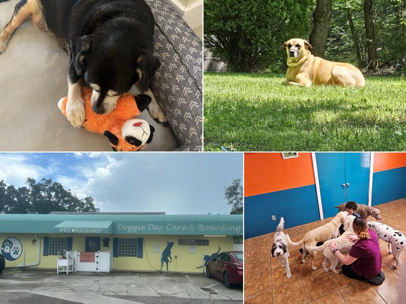 Animal & Bird Hospital of Clearwater