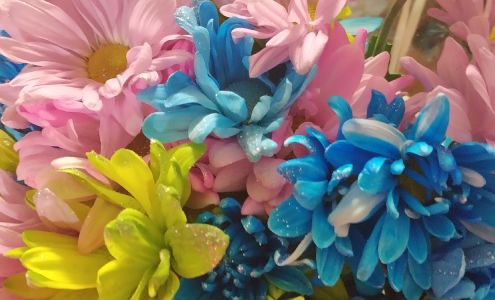 Cici’s 24-Hour Mobile Notary LLC