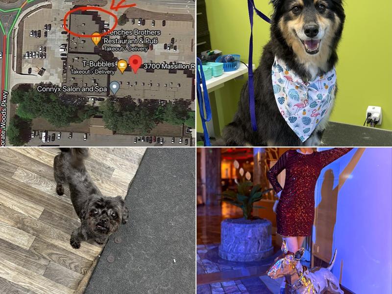 Green Family Pets - Boarding and Grooming