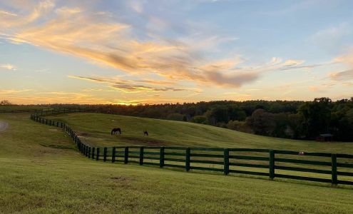 Equine Rescue of Aiken