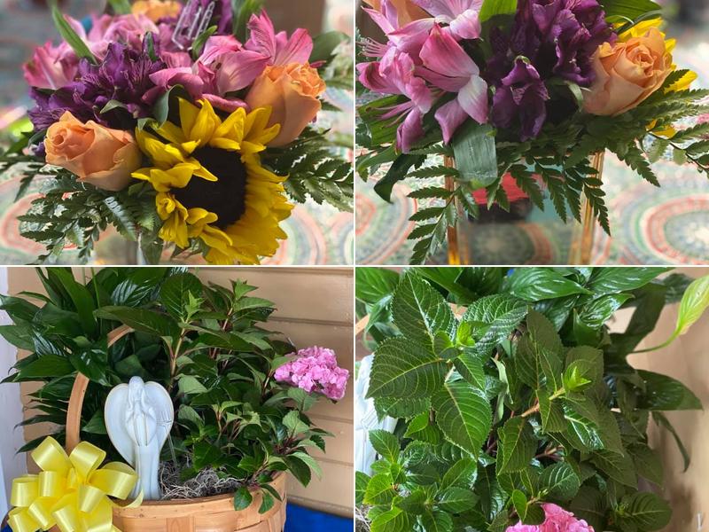 All In Bloom Floral and Gifts