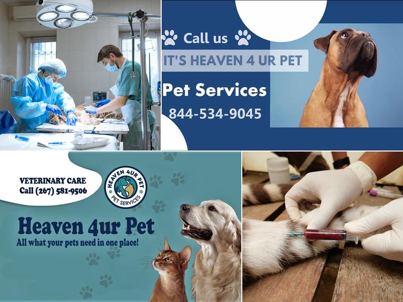 Heaven 4ur Pet Pennsylvania