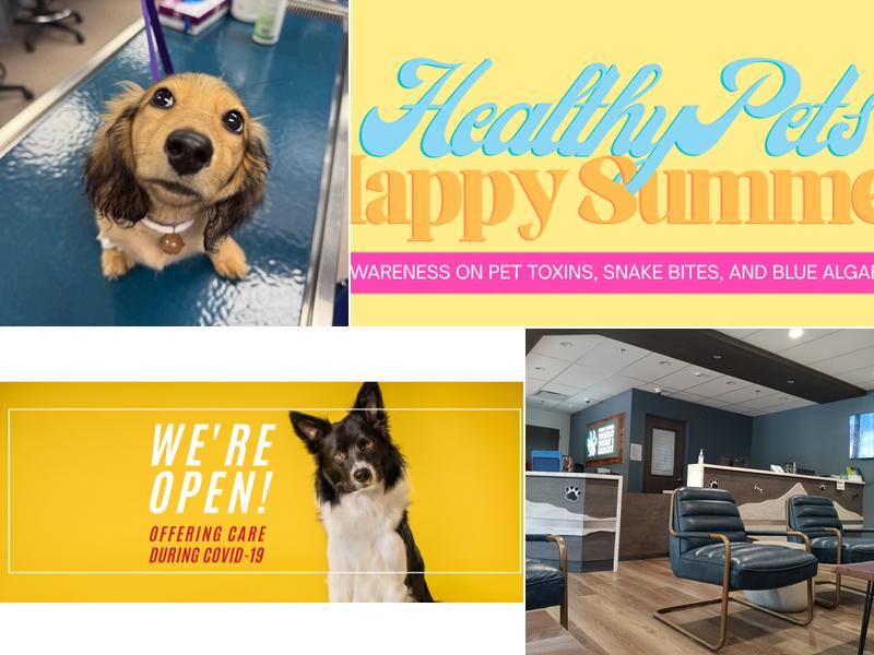 Puget Sound Veterinary Specialty & Emergency