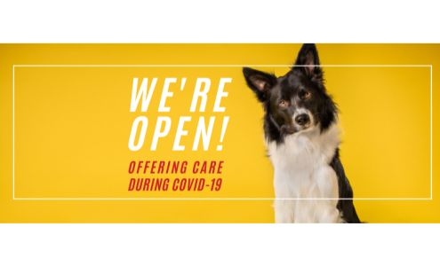 Puget Sound Veterinary Specialty & Emergency 6565 Kimball Dr, Gig Harbor Washington 98335
