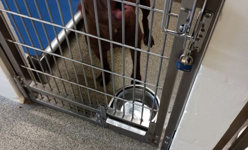 Lee County Domestic Animal Services