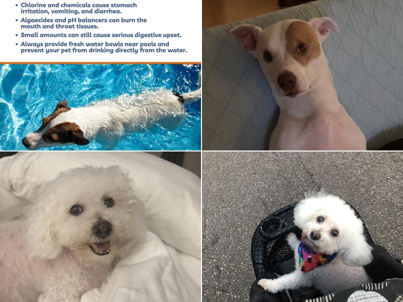 Tobias Veterinary Services