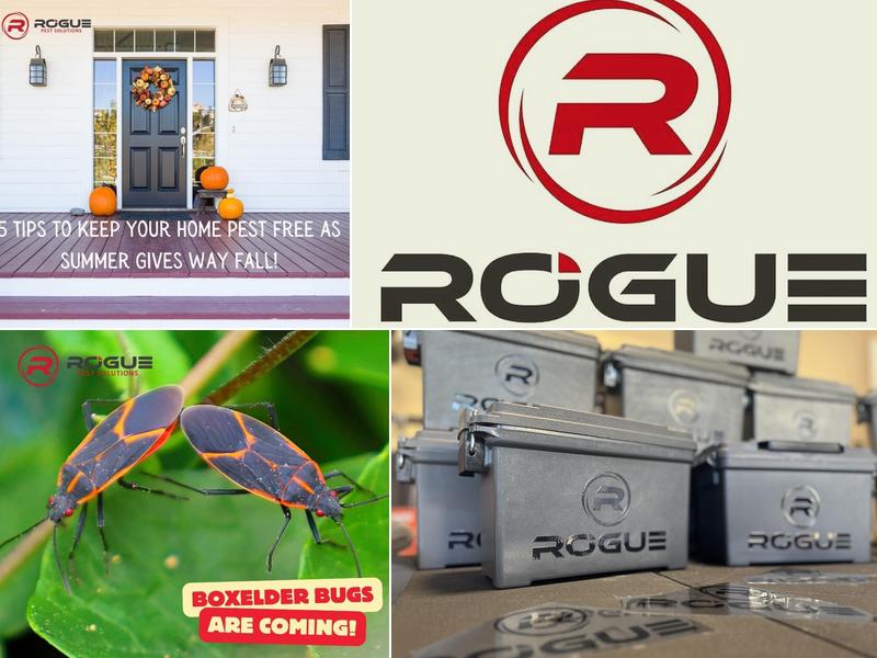Rogue Pest Solutions - Gadsden
