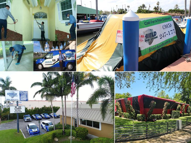 Shield Pest Control Inc.