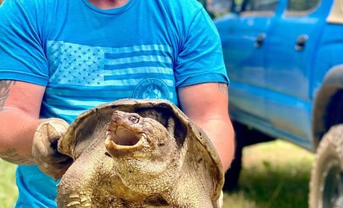 Atlanta Wildlife Solutions, LLC