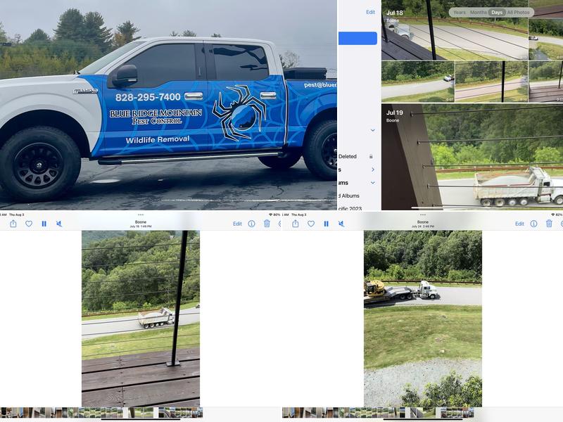 Blue Ridge Mountain Pest Control