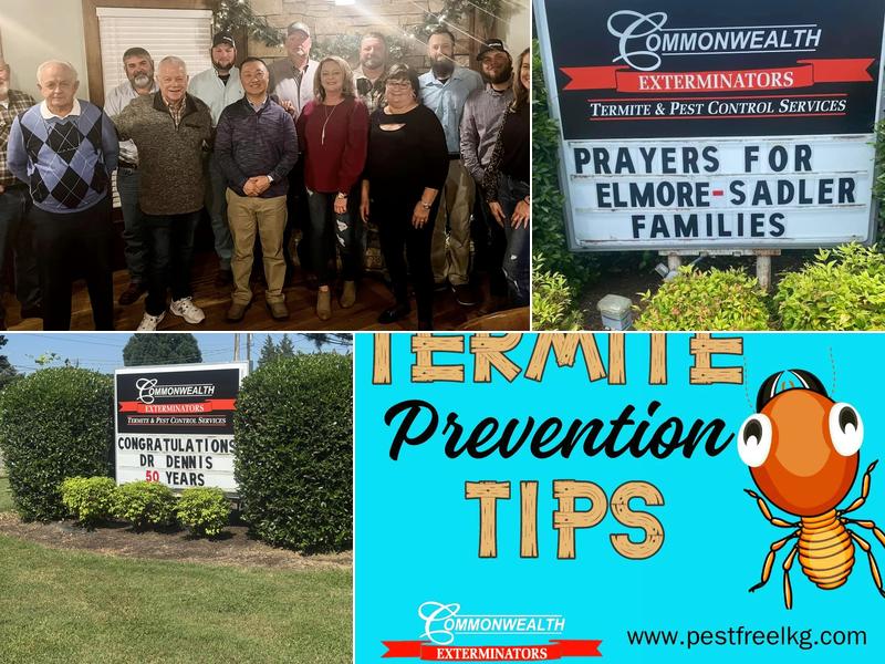 Commonwealth Exterminators