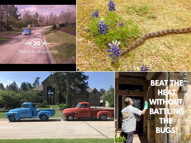 Campbell's Pest Control & Services