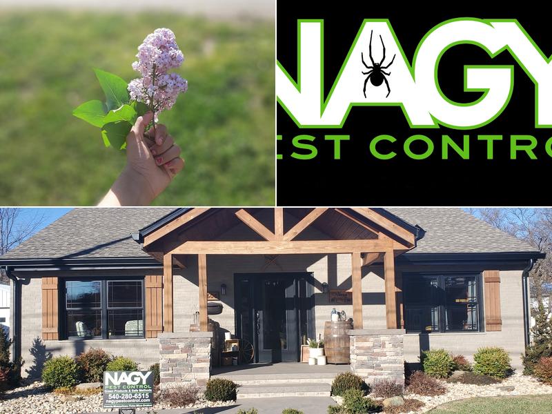 Nagy Pest Control LLC