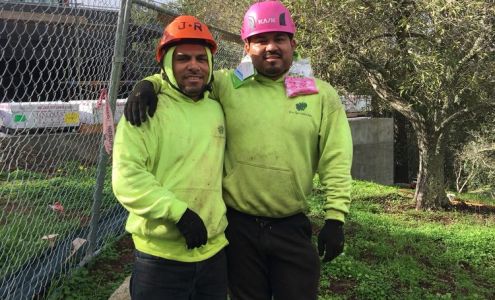 Treespecialistinc – Tree Speciaist