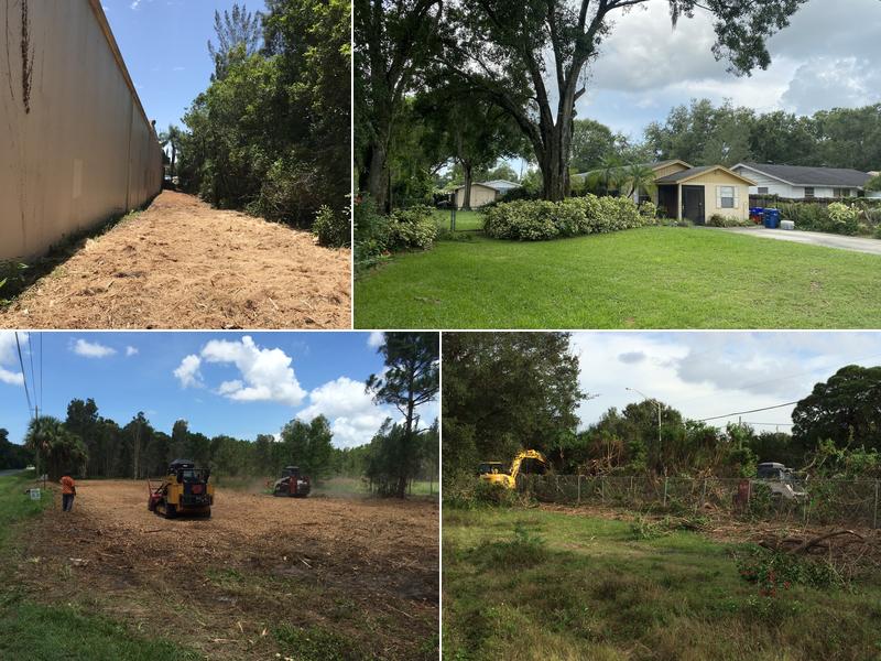 Manatee Tree Service