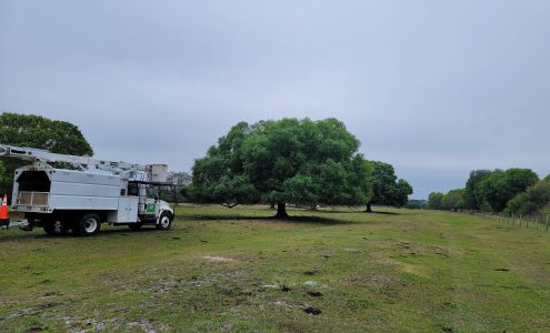 Hurricane Hunters Tree Services LLC 11826 Co Rd 763, Arcadia Florida 34266