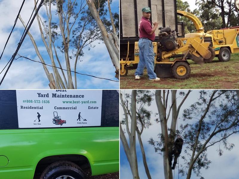 Branch-Out Tree Services