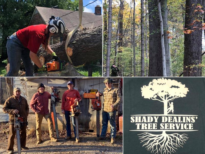 Shady Dealins Tree Services