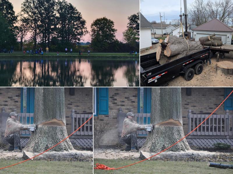 Yoder Tree Services