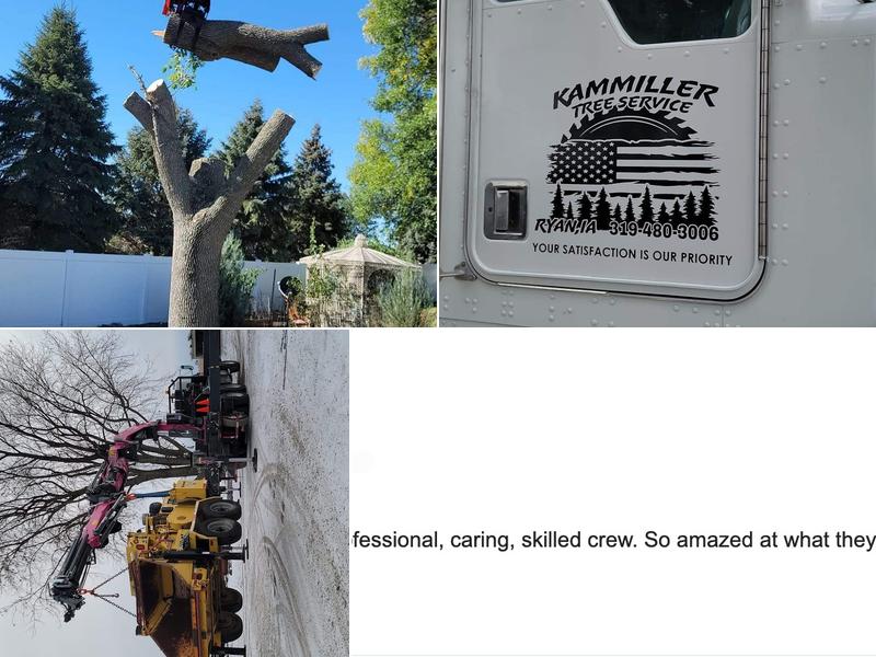 Kammiller tree services